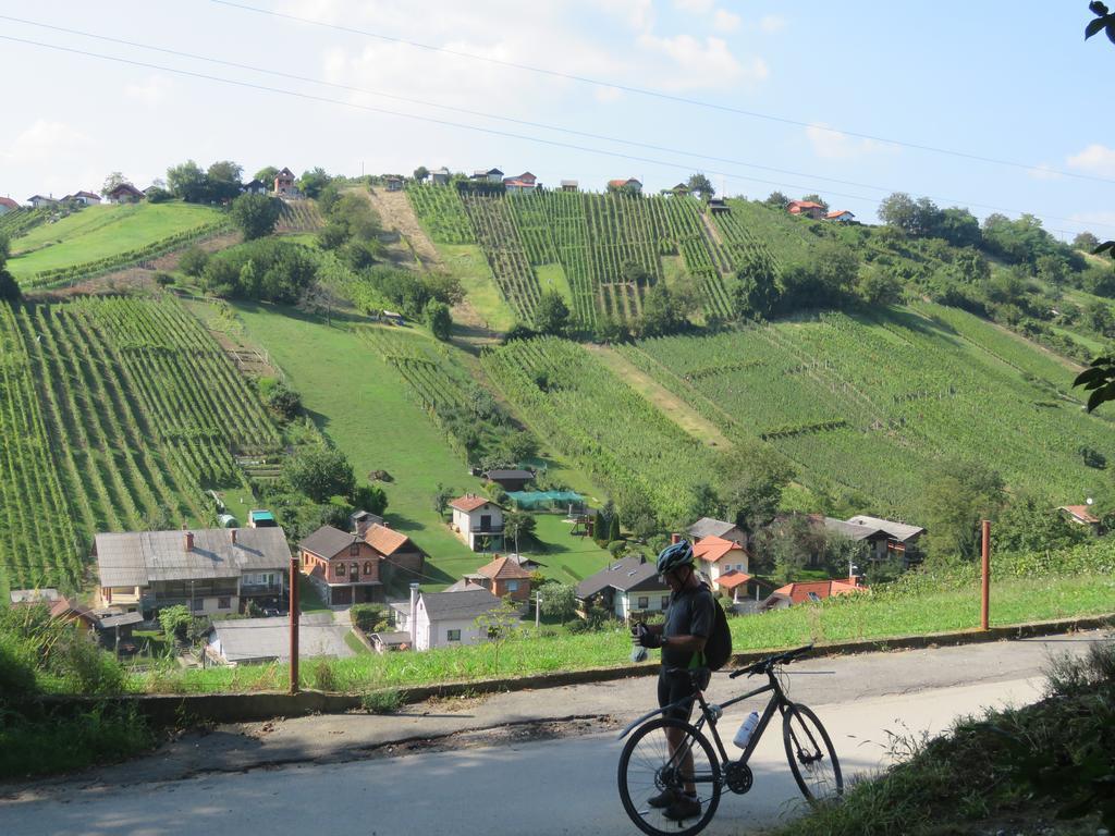 Mill House Apartment And Camping Ljutomer Buitenkant foto